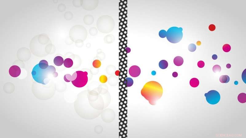 Enhancing Polymer CO₂ Filtration: Water Treatment Boosts Selective Capture from Gas Mixtures