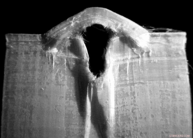 New Study Uncovers Strengths and Weaknesses of Ultra‑High‑Molecular‑Weight Polyethylene