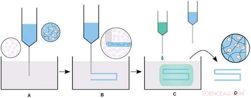 Revolutionary 3‑D Bioprinting Method Enhances Biomaterial Fabrication