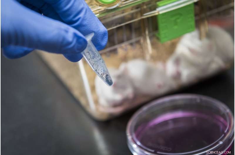 Red-Light-Activated Prodrug Cuts Tumor Growth While Minimizing Side Effects