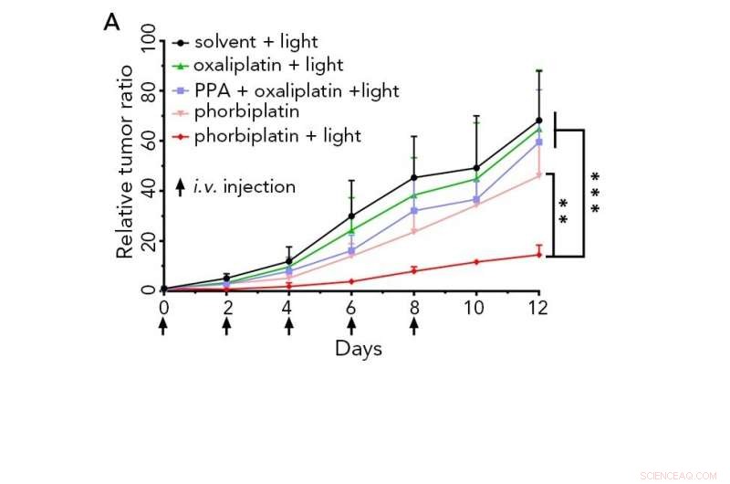 Red-Light-Activated Prodrug Cuts Tumor Growth While Minimizing Side Effects