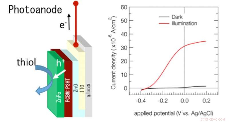 Solar-Powered Eco-Friendly Electrochemical Catalysts for Sustainable Energy Harvesting