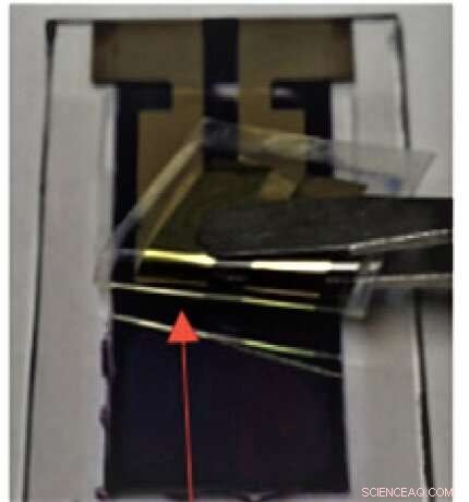 Solar-Powered Eco-Friendly Electrochemical Catalysts for Sustainable Energy Harvesting