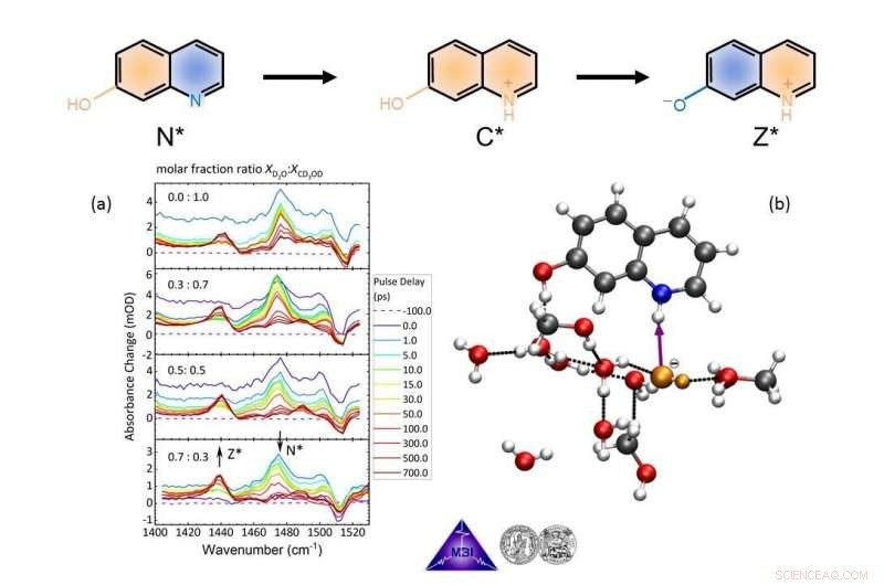 Exploring Novel Proton Transfer Pathways in Water and Methanol: Forward and Backward Dynamics