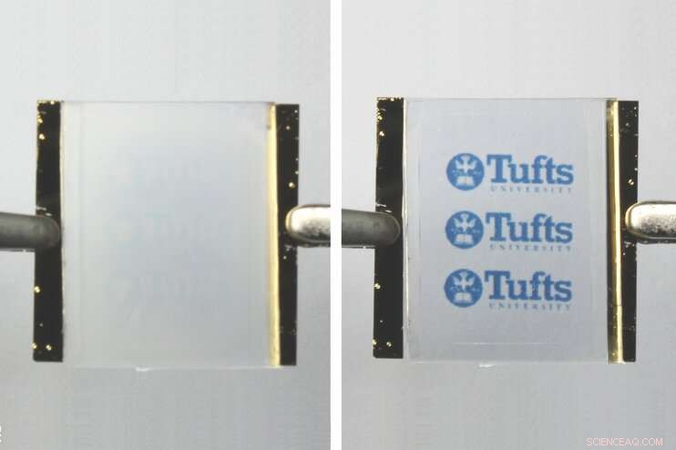 Reversible Silk Materials: Precise Wrinkling and Unwrinkling for Reusable Printing