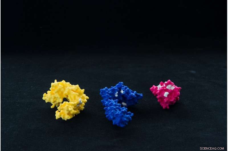 Revolutionary Protein Painting Tech Accelerates Drug Discovery