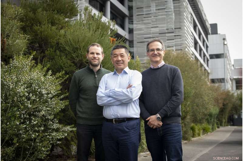 New Cell-Death Inhibitor Safeguards Healthy Cells from Unintended Loss