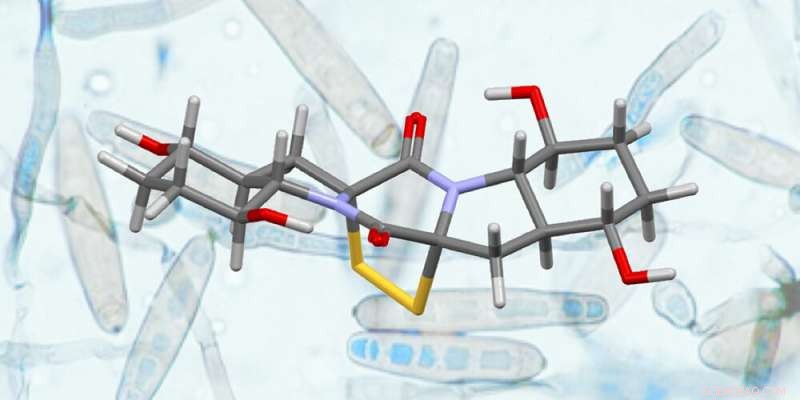Basel Chemists Announce Breakthrough Strategy for Synthesizing Complex Natural Products