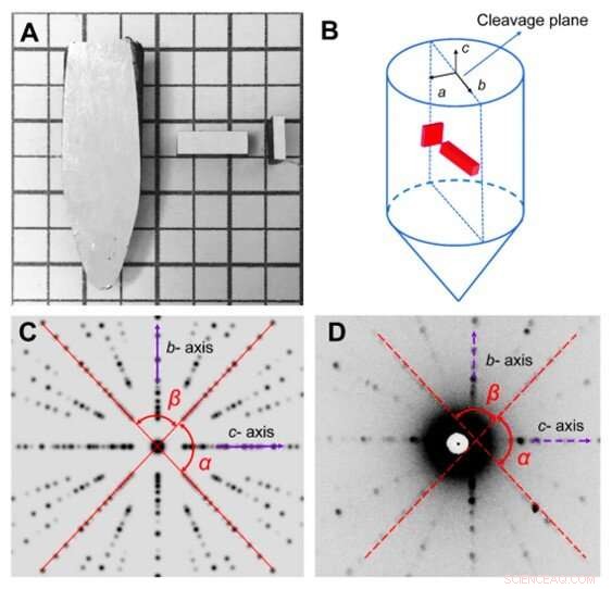 Exceptional Thermoelectric Performance of Low-Cost SnS0.91Se0.09 Crystals