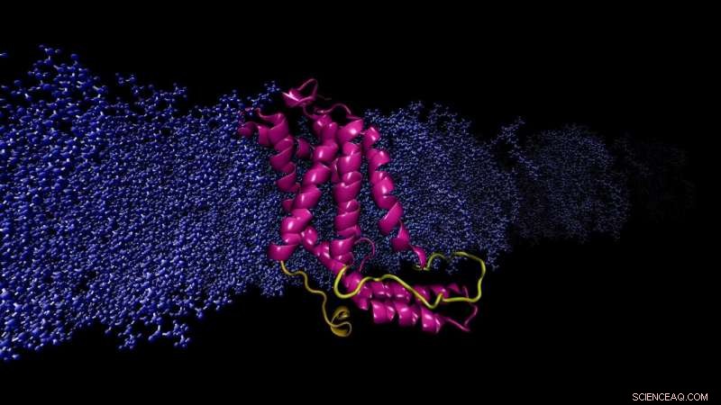 New Research Highlights Gaps in Protein Structure Determination Techniques