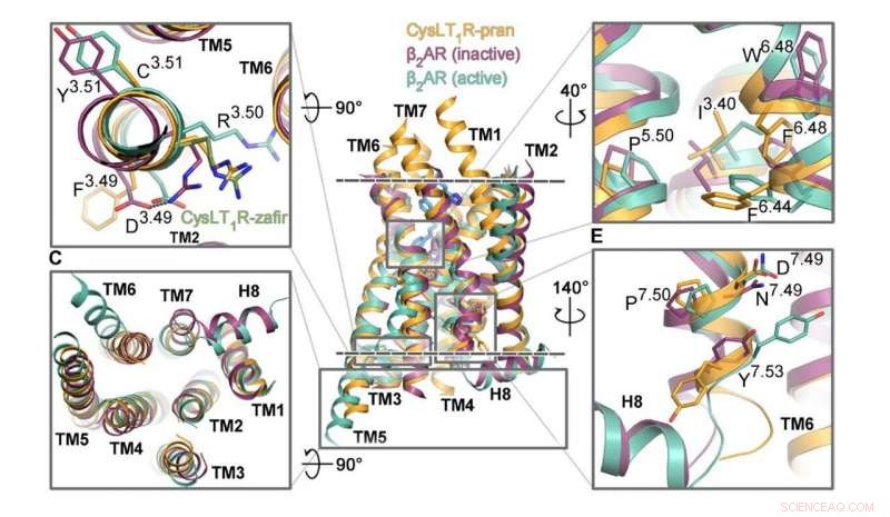 Physics and Asthma: How Biophysical Mechanisms Impact Respiratory Health