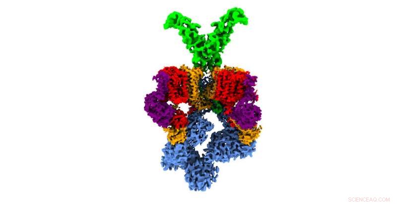 Scientists Unveil 3D Blueprint of Nanomachine Driving Tuberculosis Virulence