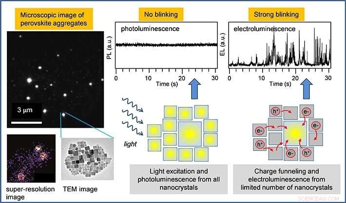 Single-Particle Spectroscopy of CsPbBr₃ Perovskite Uncovers the Origin of Low Electroluminescence