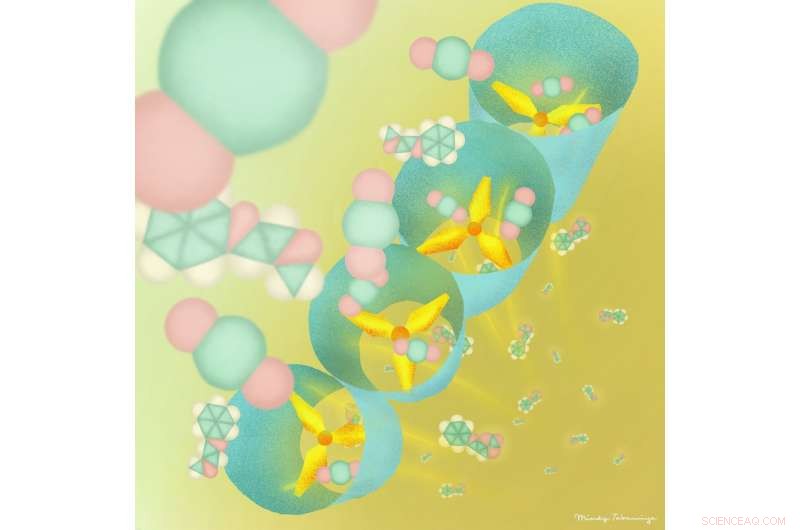 Innovative Porous Polymer Captures CO₂ and Converts It into Valuable Carbon Materials