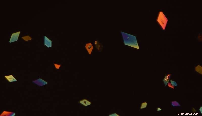 Scientists Reclaim WWII-Era German Insecticide with Rapid Action