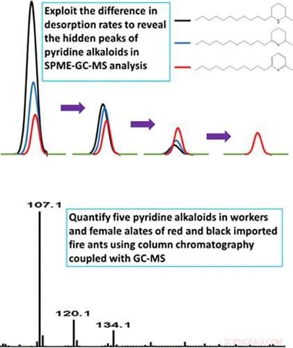 Newly Discovered Compounds Reveal How Fire Ants Deliver Their Sting