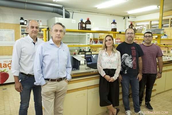 Alicante University Introduces Fast, Eco‑Friendly Device for Bitter Almond Detection via Digital Imaging