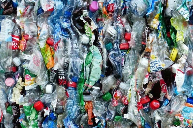 Scientists Pioneer Sustainable Biodegradable Plastics from Bio-renewable Sources