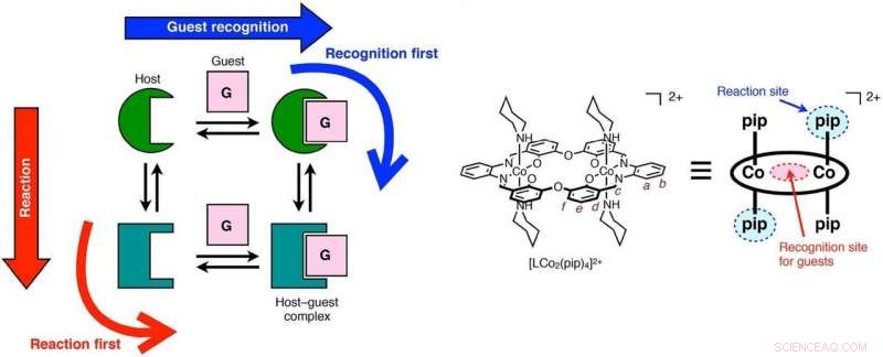 Optimizing Ion Recognition in Reactive Host-Guest Systems