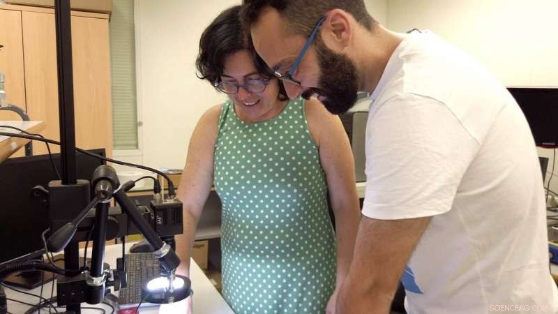 Revolutionary Technique Accelerates and Lowers Costs for High-Performance Telecommunication Circuits