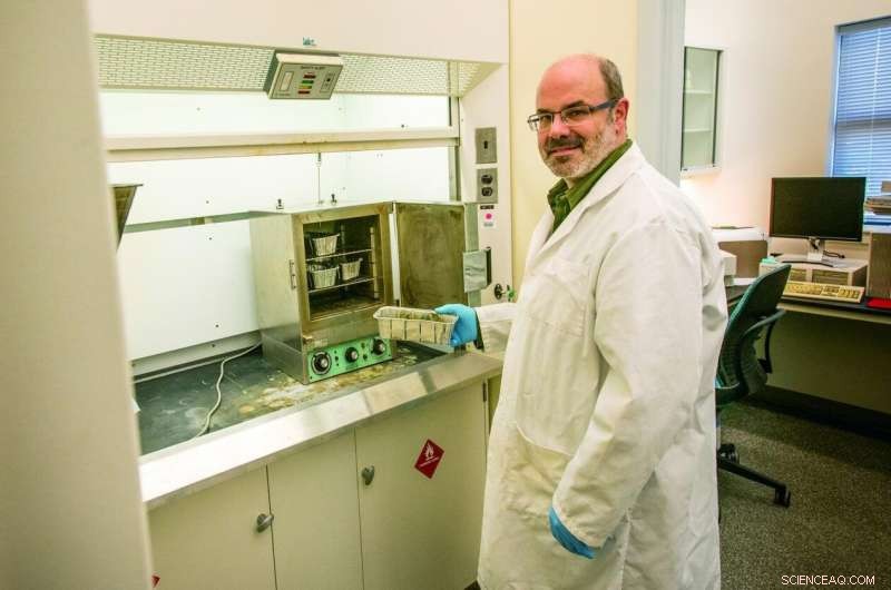 UConn Launches Dedicated Hemp Testing Lab to Meet Industry Demands