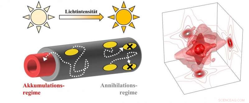 Harnessing Solar Energy: Nano‑Scale Energy Flow in Plants and Bacteria