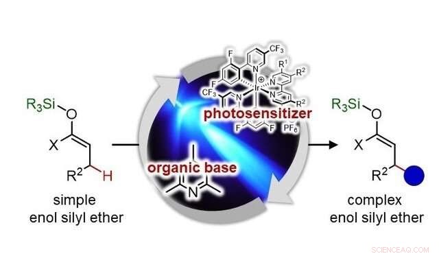 Selective C–C Bond Formation at Inert Enol Silyl Ether Sites