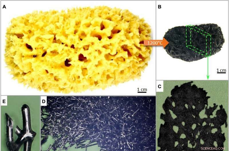 Extreme Biomimetics: Harnessing Nature s Materials for Advanced Engineering