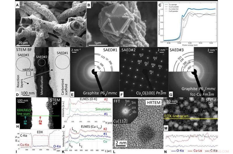 Extreme Biomimetics: Harnessing Nature s Materials for Advanced Engineering