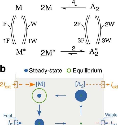 Revolutionizing Cellular Energy: A New Thermodynamic Framework