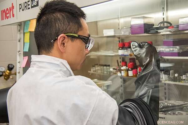 Biological Materials Enhance Solar Cell Efficiency