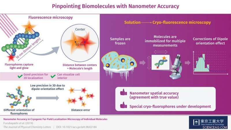 Achieving Nanometer-Precision Biomolecule Localization with Cryo-Fluorescence Microscopy
