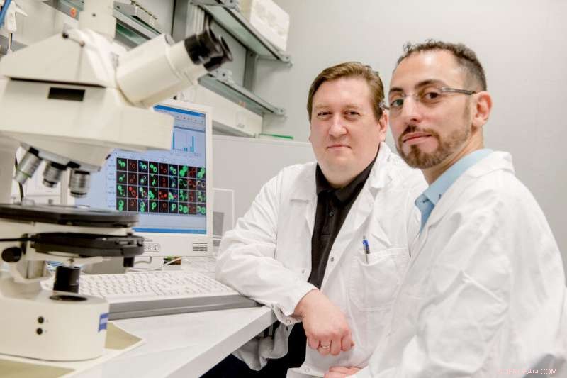 Revealed: Fresh Insights into Cellular Recycling Centers