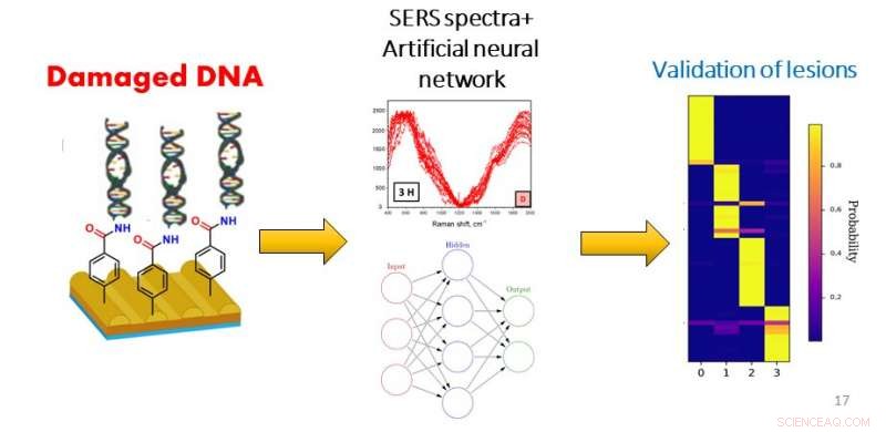 Neural Networks Detect UV-Induced DNA Damage: A Breakthrough in Bioanalysis