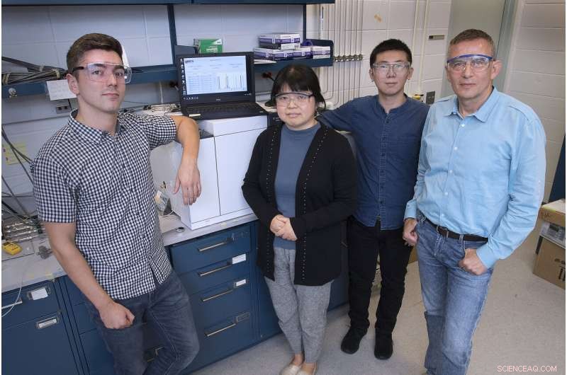AI-Powered X-ray Analysis Uncovers Key Catalytic Properties