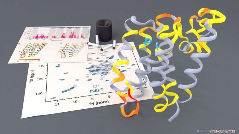 Dynamic Imaging Reveals Rhomboid Protease Function