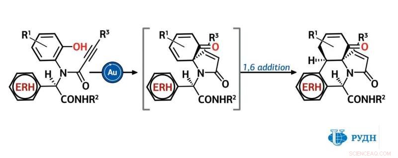 RUDN Chemist Introduces Novel Synthesis for 28 Bioactive Poly‑Heterocyclic Compounds