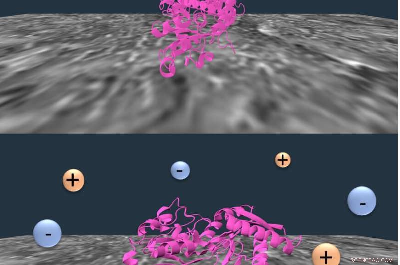 Salt Enhances Protein Migration in Chromatography