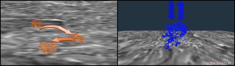 Salt Enhances Protein Migration in Chromatography