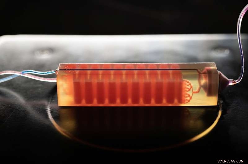 3D-Printed Device Detects Rare Cancer Cells by Isolating Them from Blood