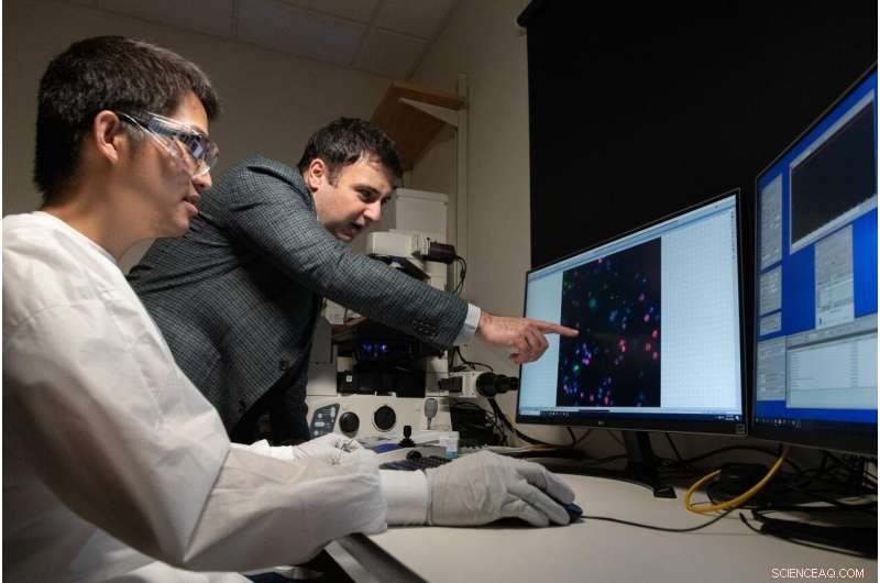 3D-Printed Device Detects Rare Cancer Cells by Isolating Them from Blood