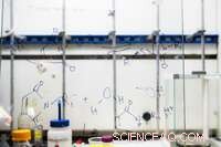 Bundlemers: New Polymer Units Poised to Transform Industries