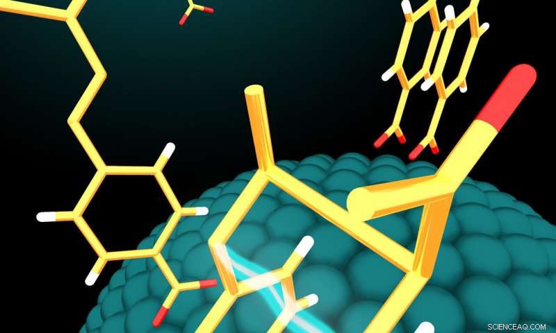 Harnessing Visible Light and Nanoparticle Catalysts to Create High-Value Bioactive Molecules