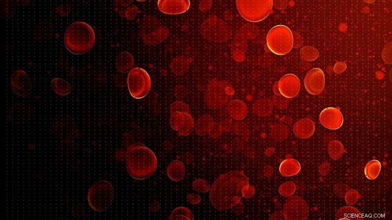 Advanced Fluorescent Probes Enhance Insight into Cellular Drug Delivery