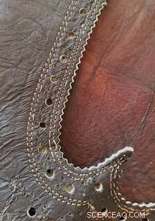 Auburn Researcher Unveils Green Tea Leather Alternative, Advancing Sustainable Footwear