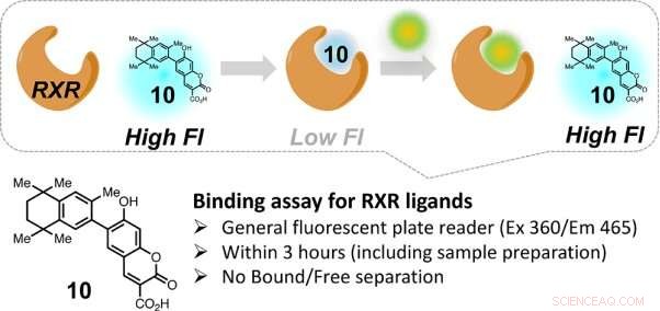 Rapid Screening of Synthetic Compounds Accelerates Drug Discovery