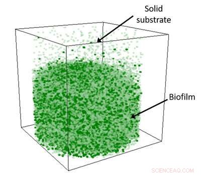 Real-Time Analysis of Liquid Samples: A Molecular-Level Investigation