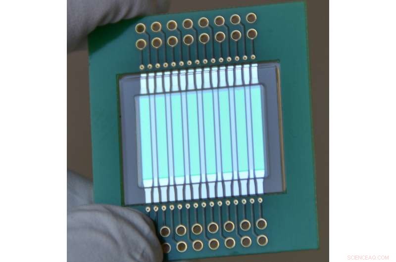 Rapid Milk Quality Test: Ensuring Safe, Premium Dairy