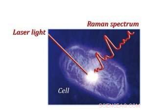 Laser-Driven Raman Microscopy Reveals Cell Chemistry