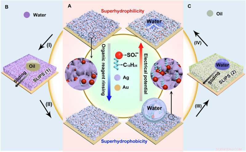 Electrodeposited Surfaces with Reversible Interfacial Switching for Advanced Wettability Control